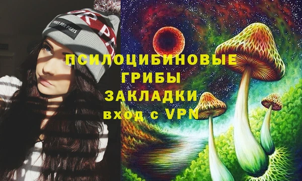 дурь Абдулино