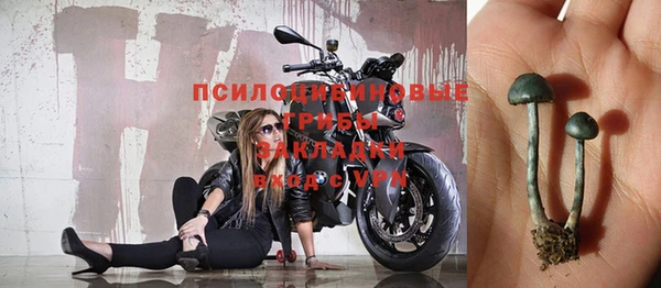 дурь Абдулино