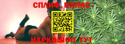 прущий лед Тара