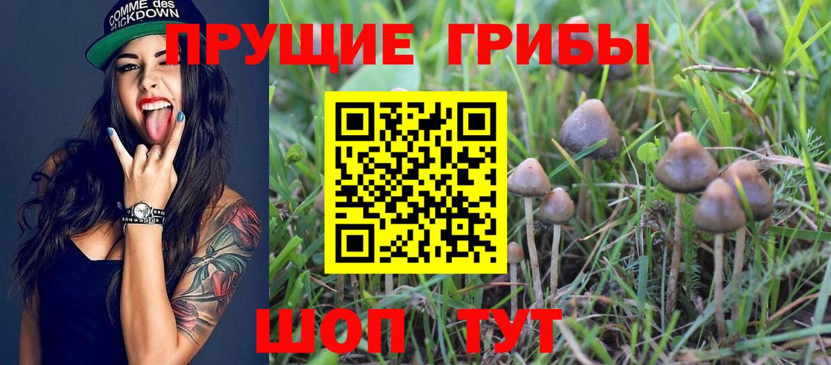 Галлюциногенные грибы Magic Shrooms Норильск