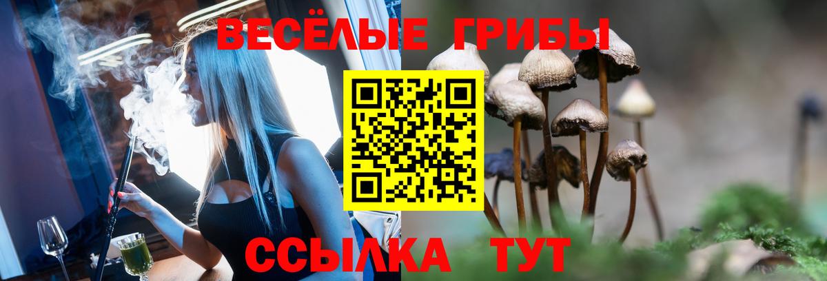 Псилоцибиновые грибы GOLDEN TEACHER  Вход с VPN  Норильск  Псилоцибиновые грибы ЛСД 